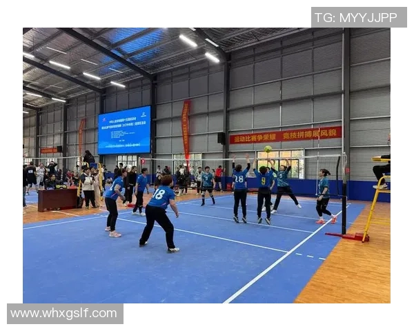 成都排球队的节奏革新探索与实践推动竞技水平提升的全新路径